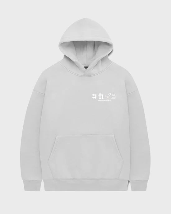 "Dream Chaser" Hoodie // NARDO GREY
