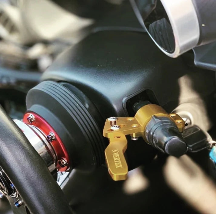 Vertex Turn Signal Extension